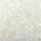 Shell White 12x12 Polished Penny Round Shell Mother of Pearl Mosaic Tile (20 pack, 18.69 sq ft/case) - Sample