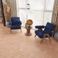 Terracotta 7x7 Matte Star Porcelain Tile (34 pack, 5.31 sq ft/case)
