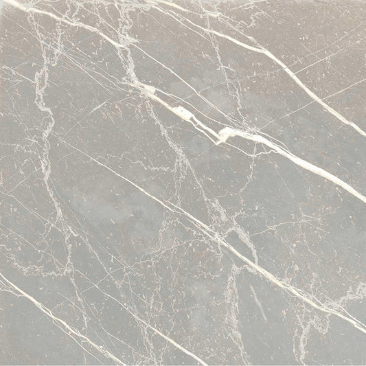 Regalia 12x12 Ash Gray Porcelain Veining Wall and Floor Tile (14 Pack, 13.56 sq ft/case) - Sample