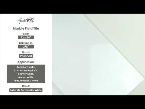 White 12x24 Polished Field Thassos Marble Tile (5 pack, 10 sq ft/case)
