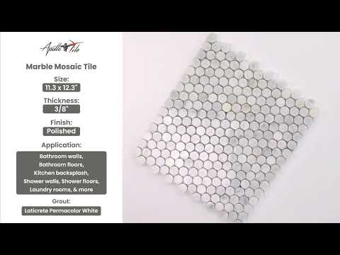 White 11x12 Polished Penny Round Marble Mosaic Tile (5 pack, 4.82 sq ft/case) - Sample