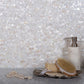 Shell White Polished Mosaic Tile