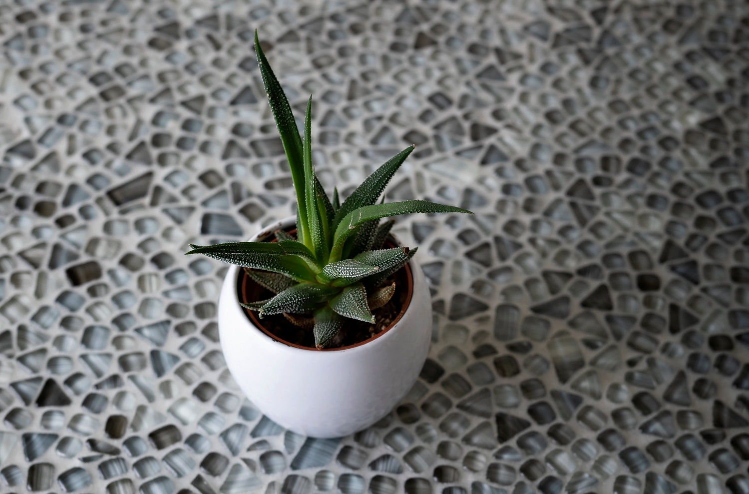 12x12 Gray Pebble Tile