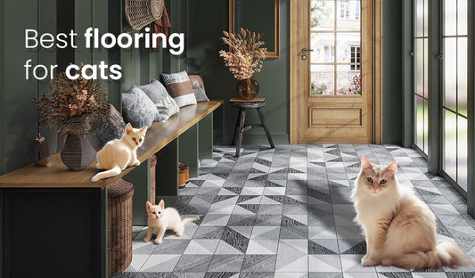 Best Flooring for Cats: Flooring Solutions for Multi-Pet Households