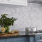 White Carrara Hexagon Tile