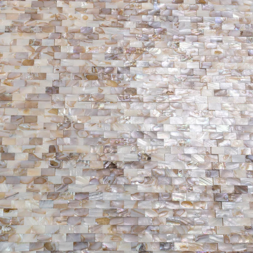 Concha 11.3 in. x 11.8 in. Polished White, Beige Shell, Mother of Pearl Mosaic Wall Tile (18.52 sq ft/case) - 20 pack