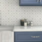 Sample - Pearl White 12x12 Polished Thassos, Shell Octagon Mosaic tile (5 pack, 5.16 sq ft/case)