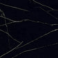 Black Marquina 24x48 Polished Porcelain Large Format Tile (2 pack, 15.5 sq ft/case)