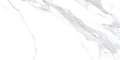 Sample - Statuary White 24x48 Polished Porcelain Large Format Tile (2 pack, 15.5 sq ft/case)