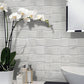 11x11 White Polished Marble Tile