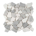 Sample - White Gray 11x11 Polished Marble Pebble Mosaic Tile (5 pack, 4.2 sq ft/case)