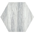Sample - Light Gray 10x10 Honed Calacatta Bluette Hexagon Tile (2.95 sq ft/case, 5-Pack)