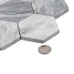 Sample - Light Gray 12x10 Polished Calacatta Bluette Hexagon Mosaic Tile (4.38 sq ft/case, 5-Pack)