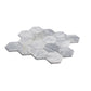 Light Gray 12x10 Polished Calacatta Bluette Hexagon Mosaic Tile (4.38 sq ft/case, 5-Pack)