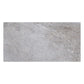 12x24 Coin Gray Porcelain Wall Tile