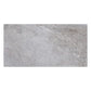 Coin Gray 12x24 Field Matte Porcelain Tile (5 pack, 10.763 sq ft/case) - Sample