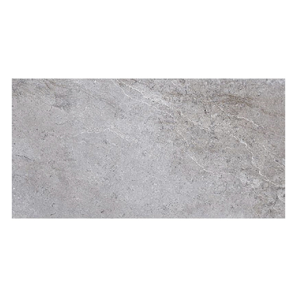 Coin Gray 12x24 Field Matte Porcelain Tile (5 pack, 10.763 sq ft/case) - Sample