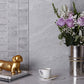 12x24 Coin Gray Porcelain Wall Tiles