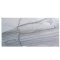 Sample - White Gray 12x24 Honed Field Calacatta Gold Marble Tile (5 pack, 10 sq ft/case)