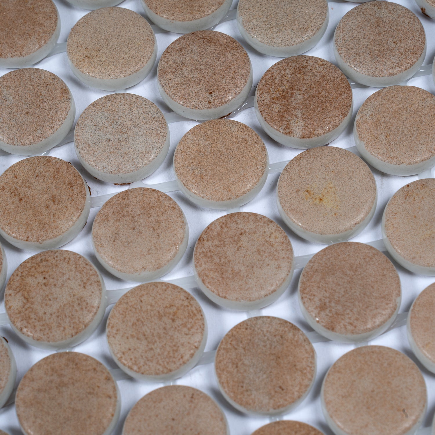 Taupe matte recycled glass round mosaic tiles 12x12 inch sheet with varied taupe shades