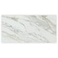 White with Gray Vein 24x48 Polished Porcelain Large Format Tile (2 pack, 15.42 sq ft/case)