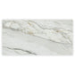 White with Gray Vein 24x48 Polished Porcelain Large Format Tile (2 pack, 15.42 sq ft/case)