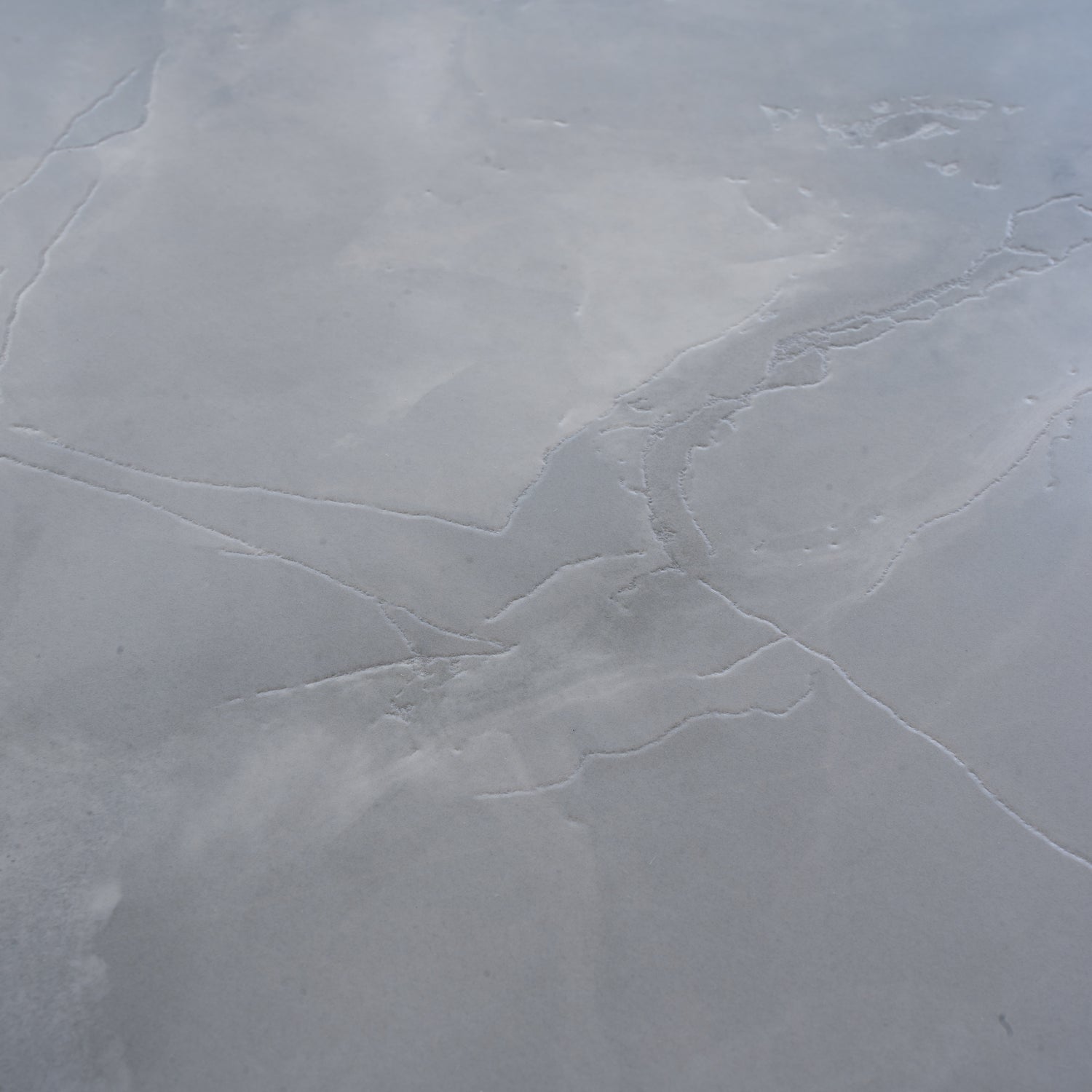 celestine blue honed porcelain tile with subtle marble-like veining in large 24x48 size