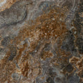 Sample - Brown 24x48 Polished Porcelain Large Format Tile (2 pack, 15.55 sq ft/case)