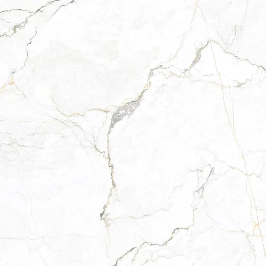 Splendor 48x48 Gray Beige Porcelain Large Format Veining Wall and Floor Tile (1 Pack, 15.5 sq ft/case)