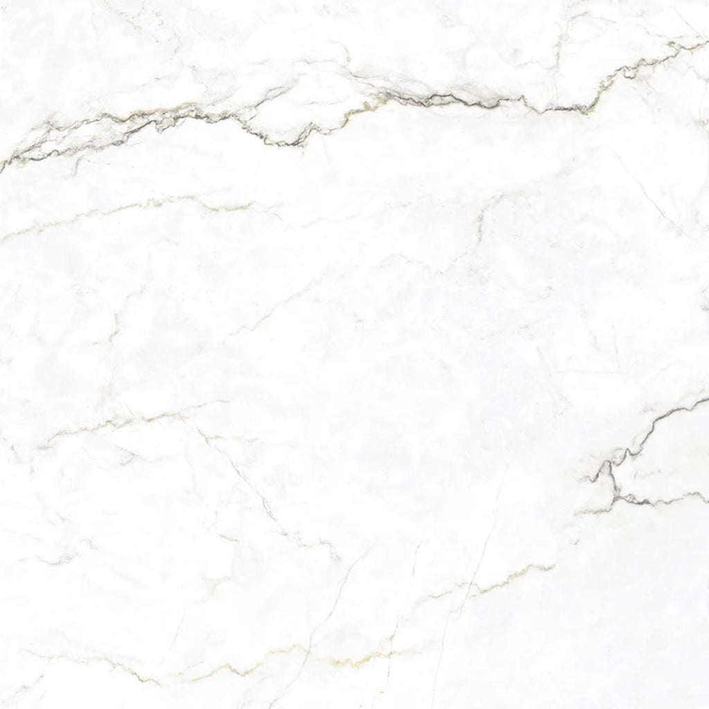 Splendor 48x48 Gray Beige Porcelain Large Format Veining Wall and Floor Tile (1 Pack, 15.5 sq ft/case)
