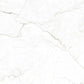 Splendor 48x48 Gray Beige Porcelain Large Format Veining Wall and Floor Tile (1 Pack, 15.5 sq ft/case)