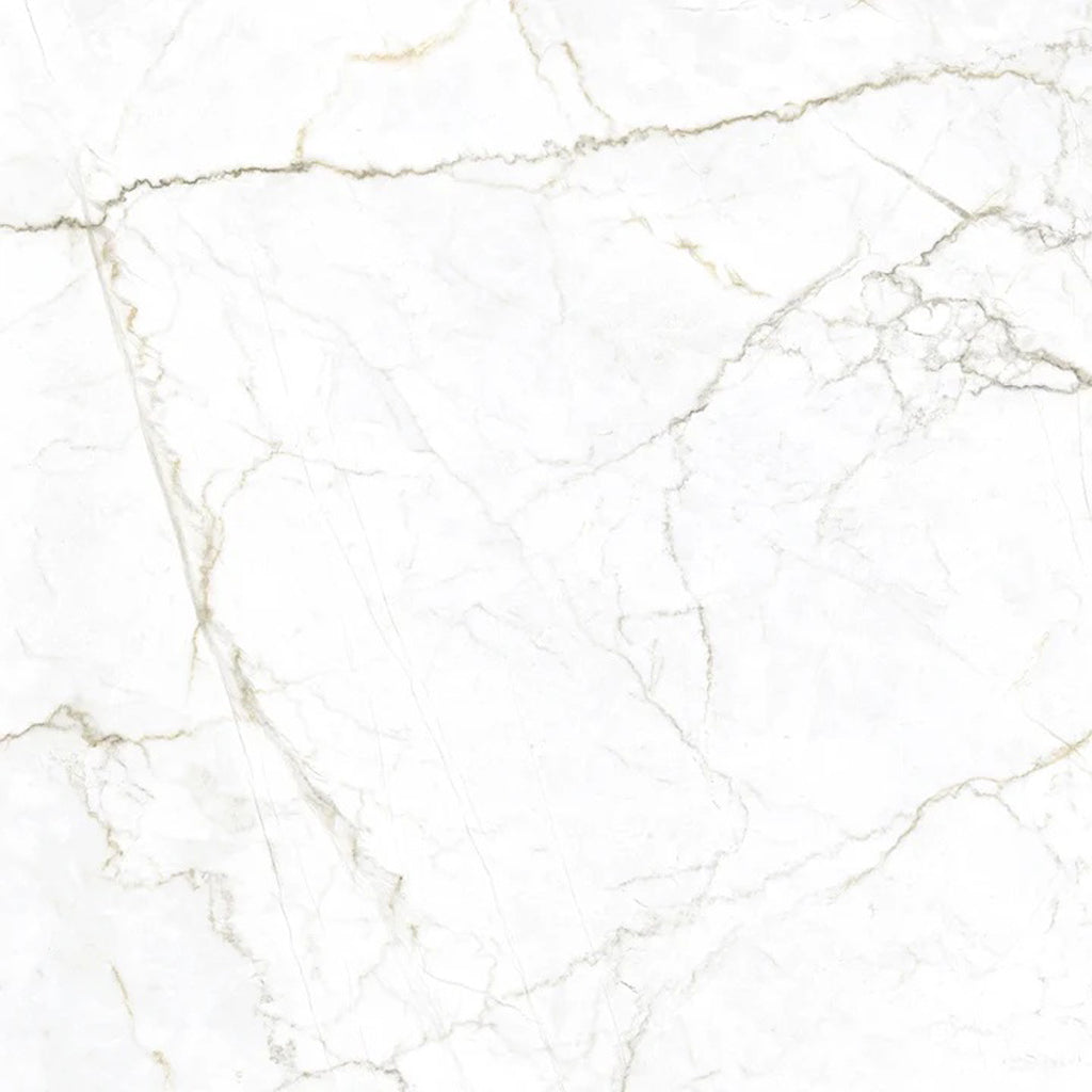Splendor 48x48 Gray Beige Porcelain Large Format Veining Wall and Floor Tile (1 Pack, 15.5 sq ft/case)