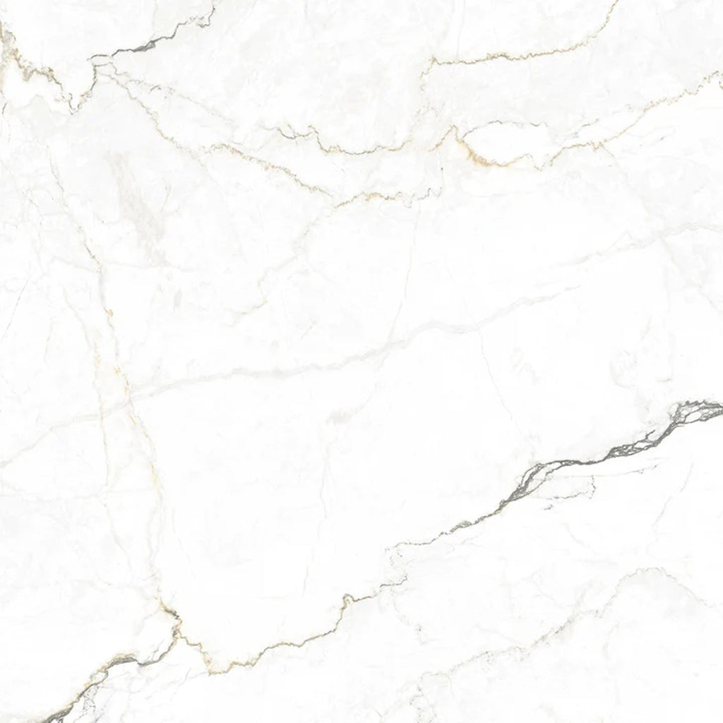 Splendor 48x48 Gray Beige Porcelain Large Format Veining Wall and Floor Tile (1 Pack, 15.5 sq ft/case) - Sample