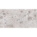 Sample - Petra Gray 24x48 Matte Marble-look Vein Porcelain Large Tile (2 pack, 15.5 sq ft/case)
