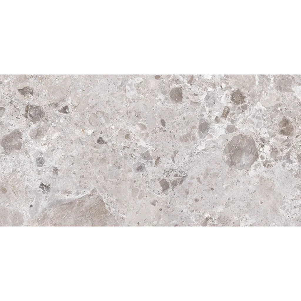 Splendor 24x48 Petra Gray Porcelain Large Format Veining Wall and Floor Tile (2 Pack, 15.5 sq ft/case) - Sample