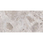 Splendor 24x48 Petra Gray Porcelain Large Format Veining Wall and Floor Tile (2 Pack, 15.5 sq ft/case) - Sample