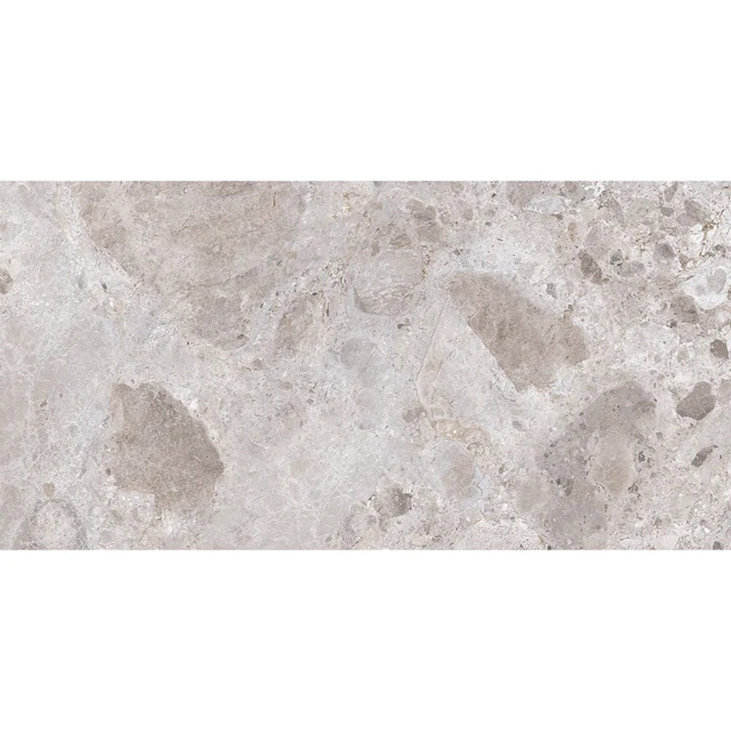 Splendor 24x48 Petra Gray Porcelain Large Format Veining Wall and Floor Tile (2 Pack, 15.5 sq ft/case) - Sample
