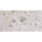 Petra Gray 24x48 Matte Marble-look Vein Porcelain Large Tile (2 pack, 15.5 sq ft/case)