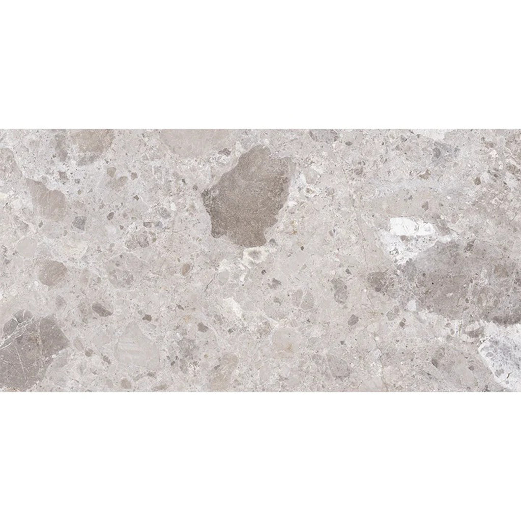 Splendor 24x48 Petra Gray Porcelain Large Format Veining Wall and Floor Tile (2 Pack, 15.5 sq ft/case) - Sample