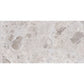 Petra Gray 24x48 Matte Marble-look Vein Porcelain Large Tile (2 pack, 15.5 sq ft/case)