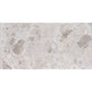 Splendor 24x48 Petra Gray Porcelain Large Format Veining Wall and Floor Tile (2 Pack, 15.5 sq ft/case) - Sample