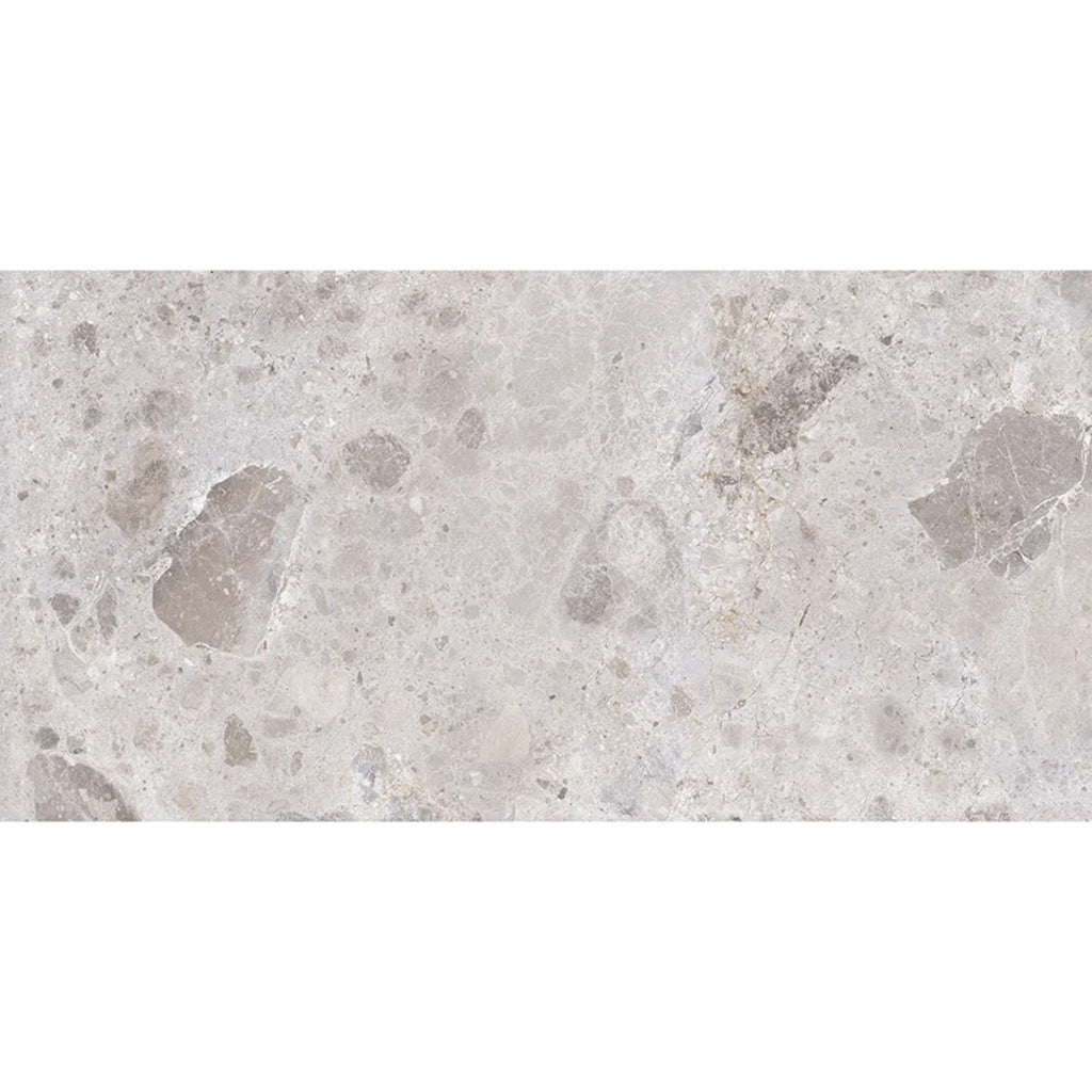 Splendor 24x48 Petra Gray Porcelain Large Format Veining Wall and Floor Tile (2 Pack, 15.5 sq ft/case) - Sample