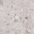Sample - Petra Gray 48x48 Matte Square Marble Look Vein Porcelain Large Tile (1 pack, 15.5 sq ft/case)
