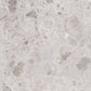 Splendor 48x48 Petra Gray Porcelain Large Format Square Veining Wall and Floor Tile (1 Pack, 15.5 sq ft/case)