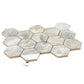 Light Taupe Beige 9x13 Polished Hexagon Porcelain Mosaic Tile (9 pack, 7.09 sq ft/case) - Sample
