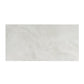 Ivory Pearl White 24x48 Honed Porcelain Large Tile (15.5 sq ft/case, 2-Pack)