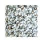 Beige 12x12 Polished Herringbone Shell Mosaic Tile (20 pack, 19.33 sq ft/case)