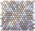 Sample - Crema Marfil Eastern White 11x12 Polished Penny Round Marble Mosaic Tile (5 pack, 4.83 sq ft/case)