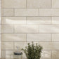 Beige 4x12 Honed Subway Marble Tile (15 pack, 5 sq ft/case)