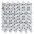 Sample - Pristine White Gray 11x12 Polished Hexagon Thassos Carrara Blue Celeste Marble Mosaic Tile (5 pack, 4.59 sq ft/case)